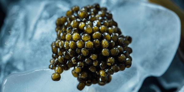 How to Store Caviar